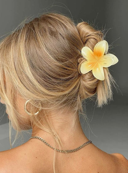 Pinzas para cabello