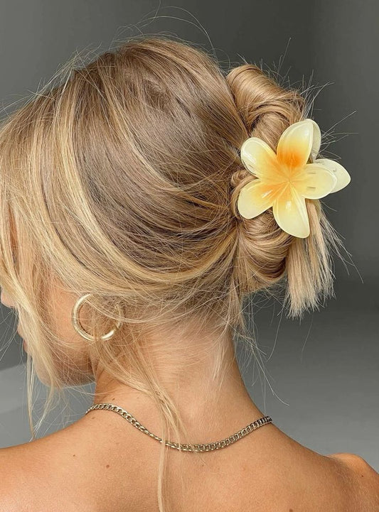 Pinzas para cabello