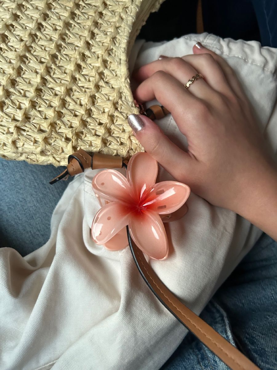Pinzas para cabello