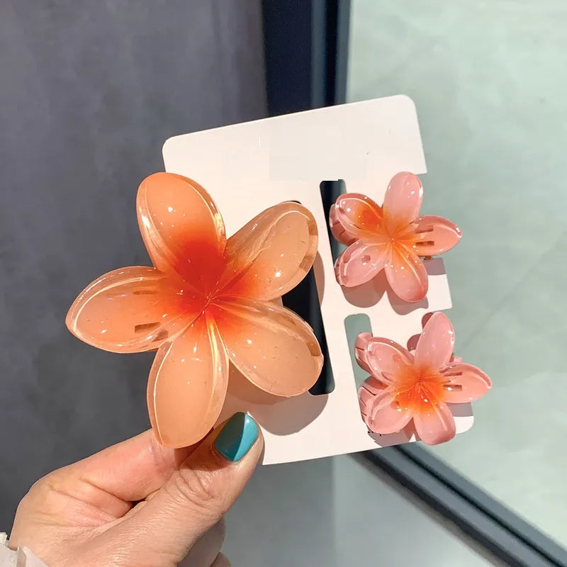 Pinzas para cabello