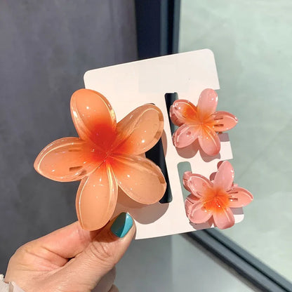 Pinzas para cabello