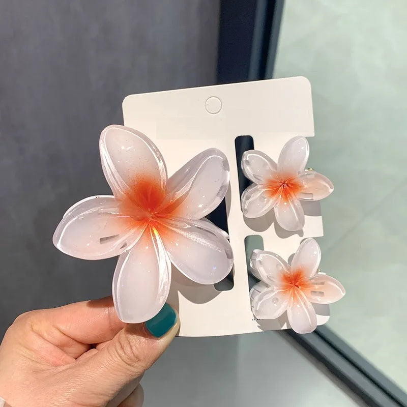 Pinzas para cabello