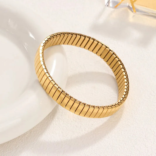 P251 Acero Inoxidable