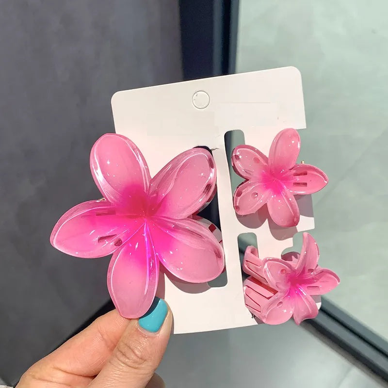 Pinzas para cabello