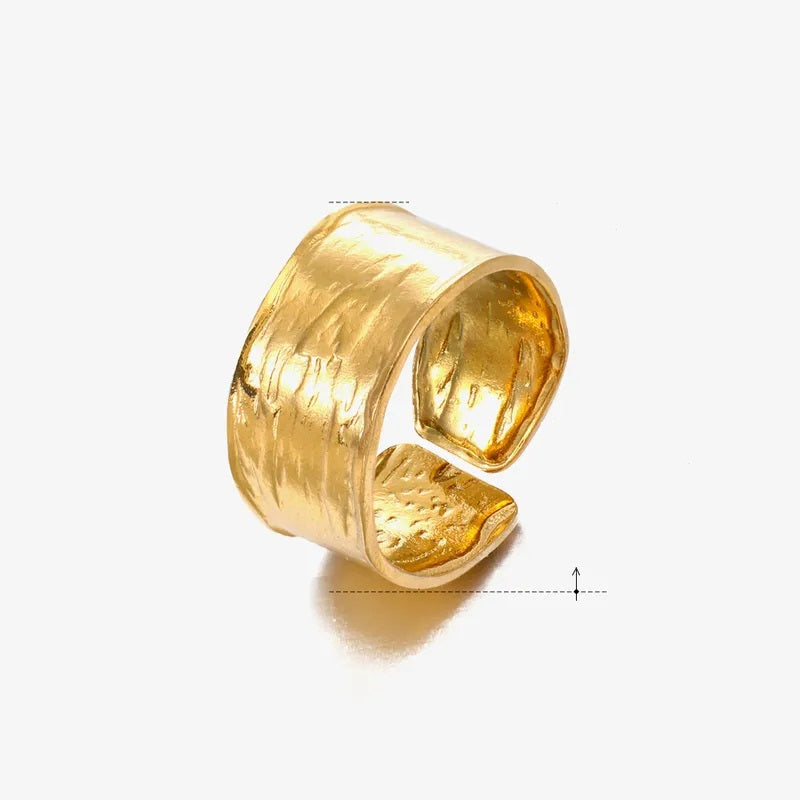 N202 Acero Inoxidable